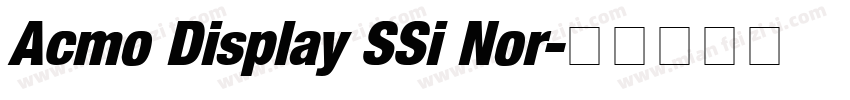 Acmo Display SSi Nor字体转换